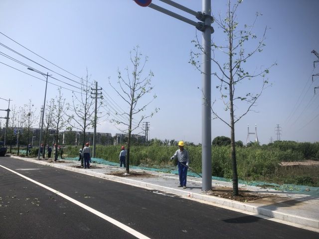 打造“一路一景”的市政道路绿化景观