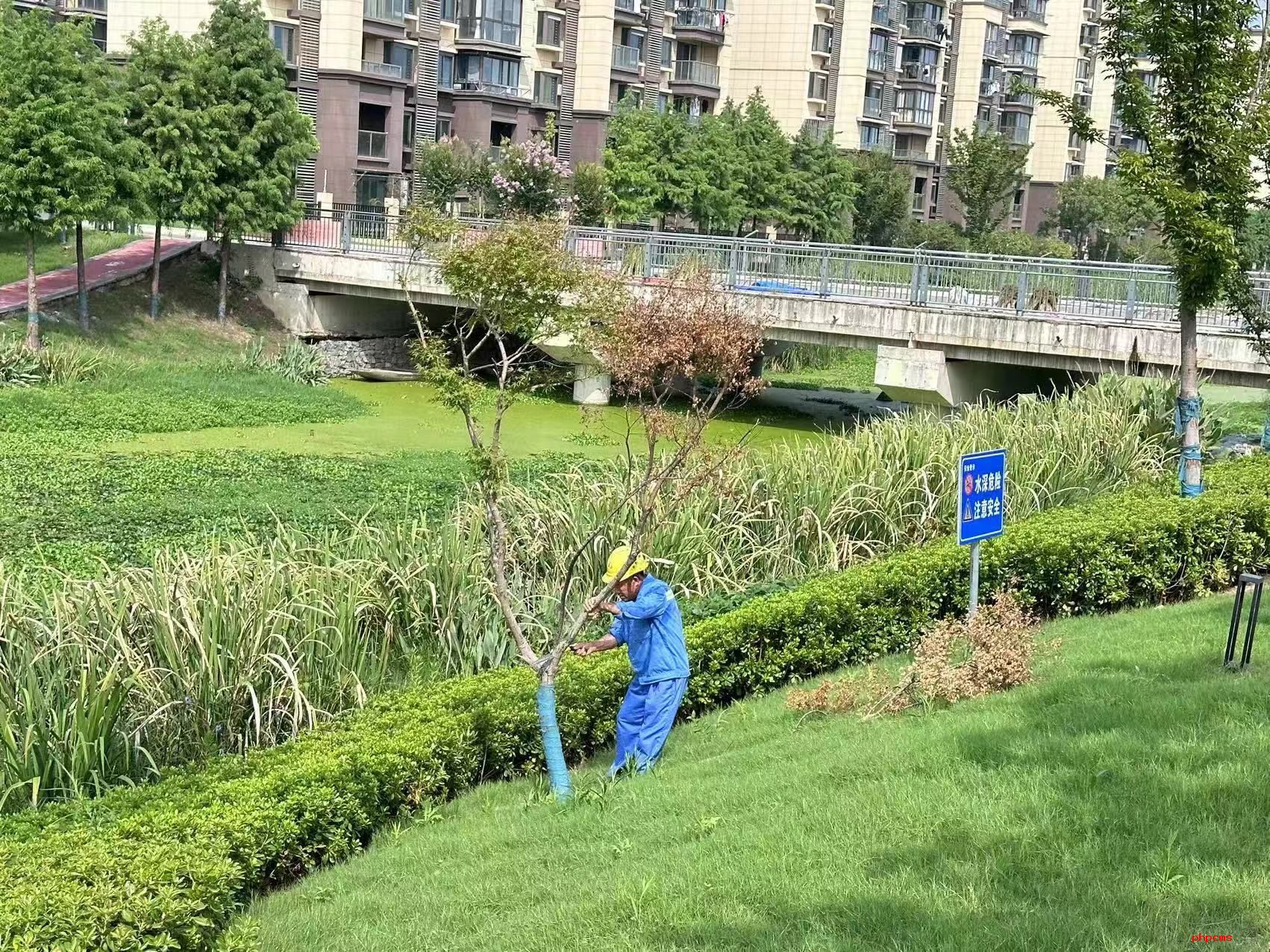 品高淳蟹 赏蟹城景，淳汇公司全面保障螃蟹城迎国庆