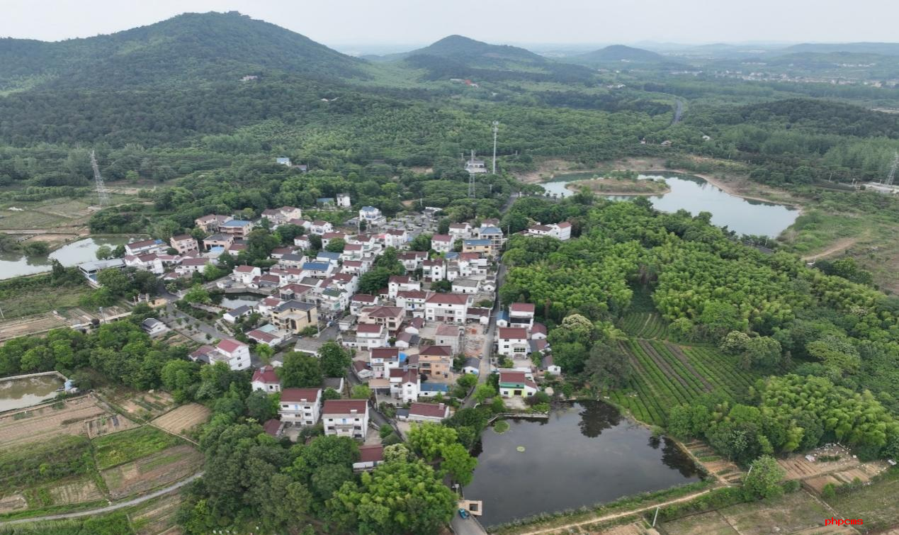 探索农村闲置宅基地盘活利用新路径